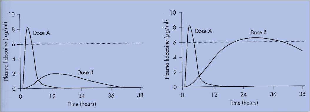 lidocaine1_.jpg